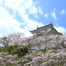 青空を背景に写る大多喜城と桜