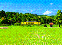 田畑の中を走る電車の画像