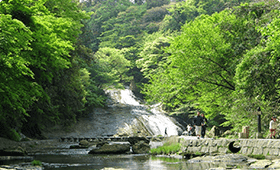 山の中を流れる川の画像
