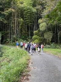 里山ハイキングの様子