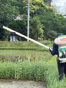 活動の様子