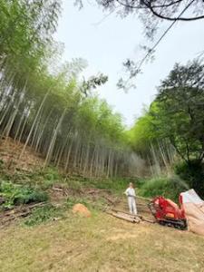 活動の様子