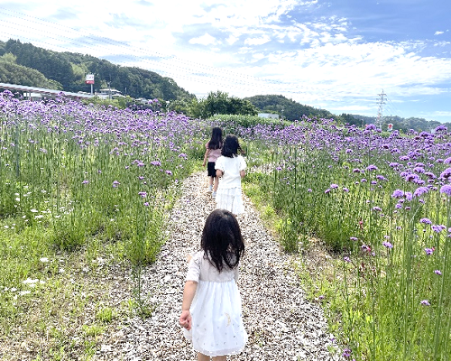 ハーブパークを歩くこども