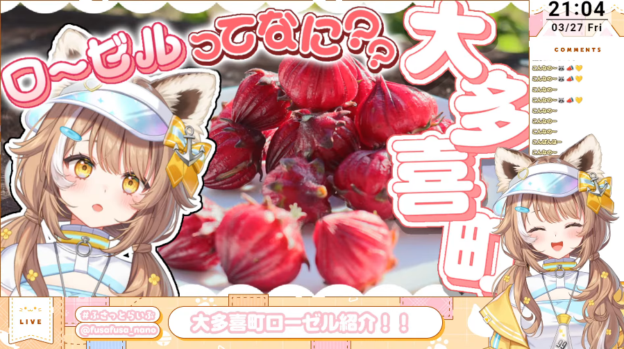 配信動画キャプチャ