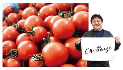 たくさんの赤いトマトと、Challengeの文字を掲げた男性の写真