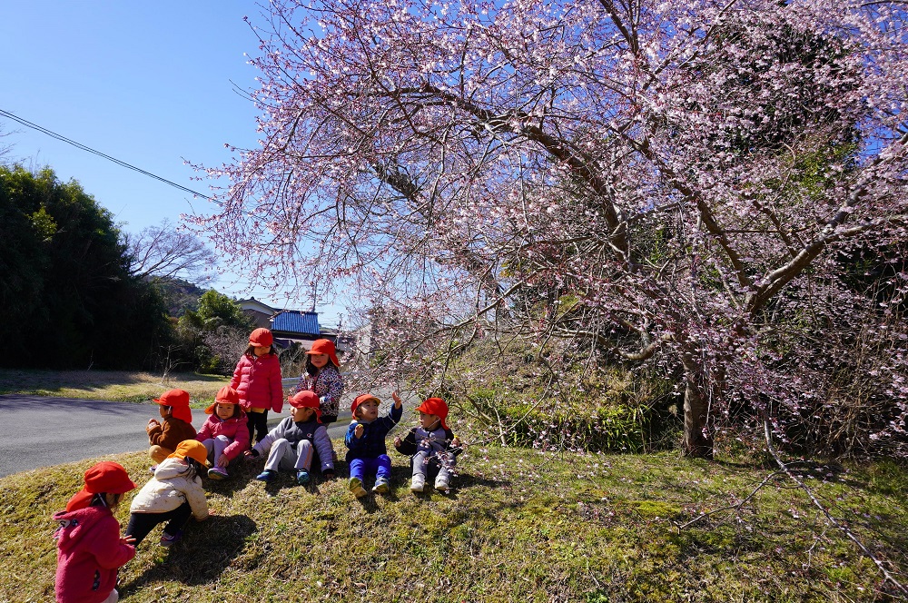 桜の木の下で座るこどもたちの写真