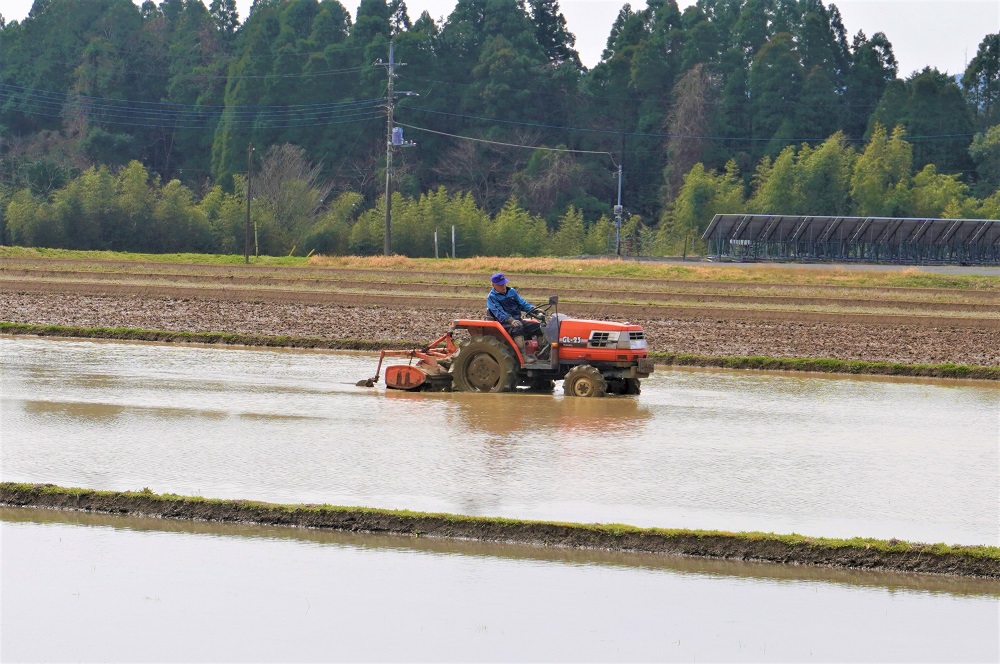 水が張られた田んぼを移動する赤いトラクターの写真