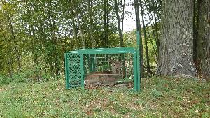 鹿のオリ捕獲