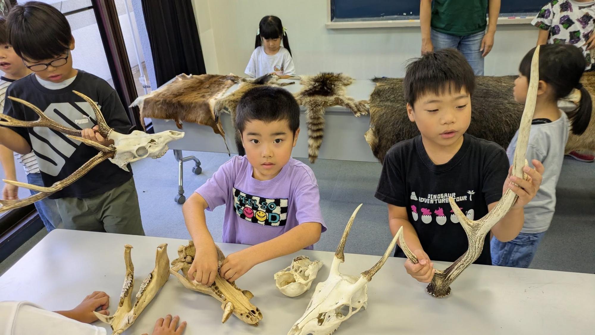 骨を触る小学低学年生