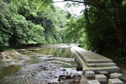 緑に囲まれた水辺に遊歩道がある写真