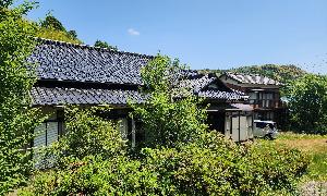 No.117大田代