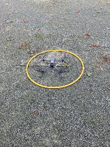 活動中の様子